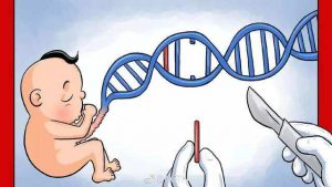《巡山报告：基因编辑婴儿》：你的健康谁做主-书啦圈